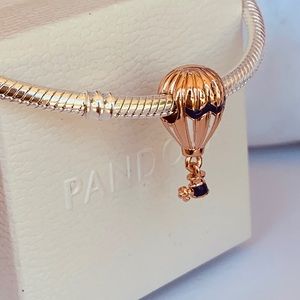 Pandora summer collection charm